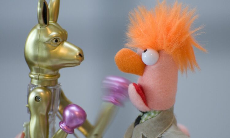 have to do vs. want to do