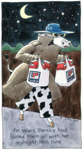 Perry Drugs Postcard - Midnight Milk Cow